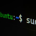 Btrfs vs. ZFS on Proxmox VE in 2026: Copy-on-Write Snapshots, RAM Overhead & Low-Power Homelab Storage Forensics