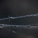 FortiGate 70F vs Netgate 6100: Branch Firewall Shootout